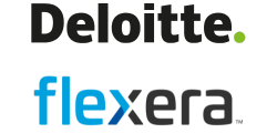 Deloitte | Flexera